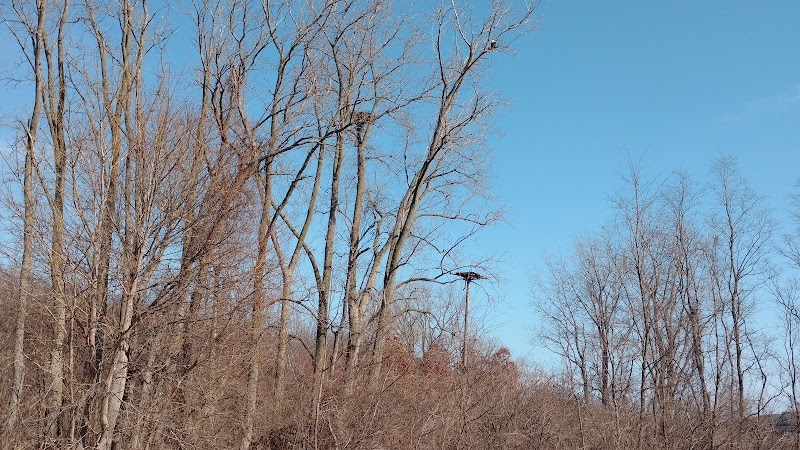 Pelton Park - Sandusky, OH