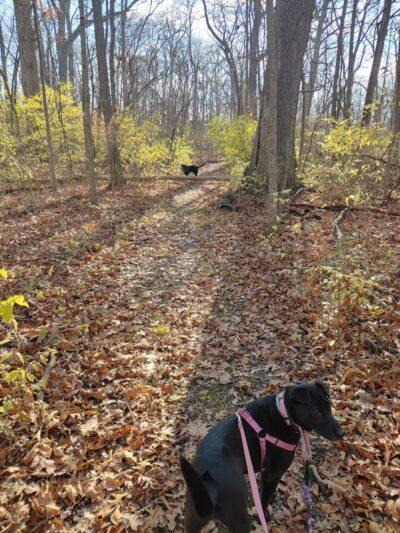 Pelton Park - Sandusky, OH