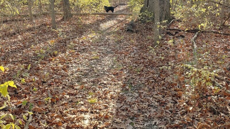 Pelton Park - Sandusky, OH