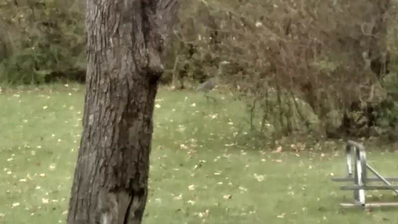 Pelton Park - Sandusky, OH