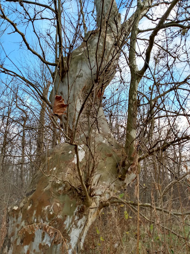 Pelton Park - Sandusky, OH