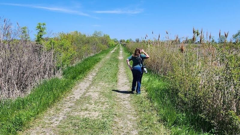 Pipe Creek Wildlife Area - Sandusky, OH - Sandusky, OH