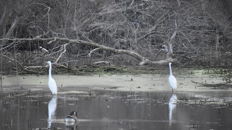 Pipe Creek Wildlife Area - Sandusky, OH - Sandusky, OH