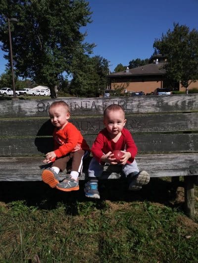 Sardinia Park - Sardinia, OH