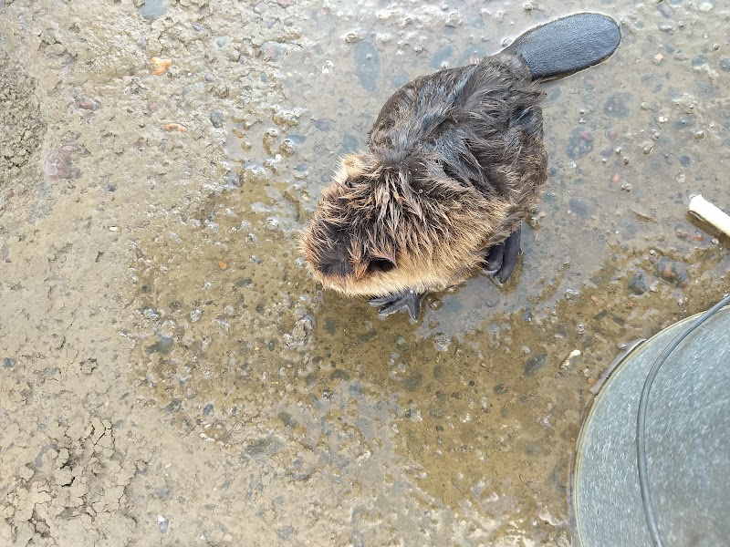 Monroe Park and Marina - Sardis, OH