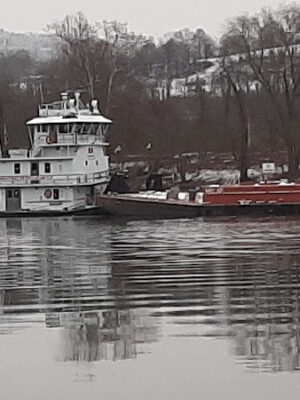 Monroe Park and Marina
