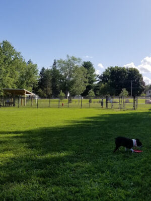 Andersen Dog Park