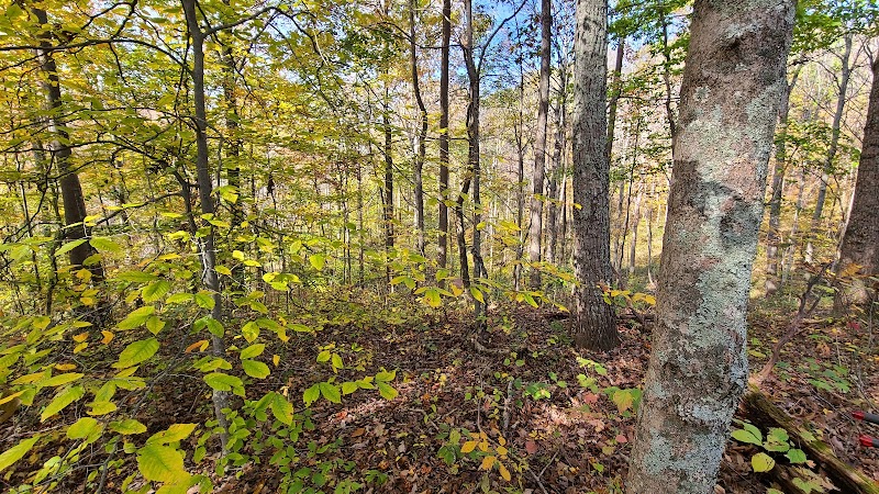 Crown City Wildlife Area - Scottown, OH