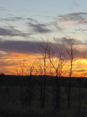 Crown City Wildlife Area