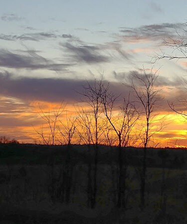 Crown City Wildlife Area