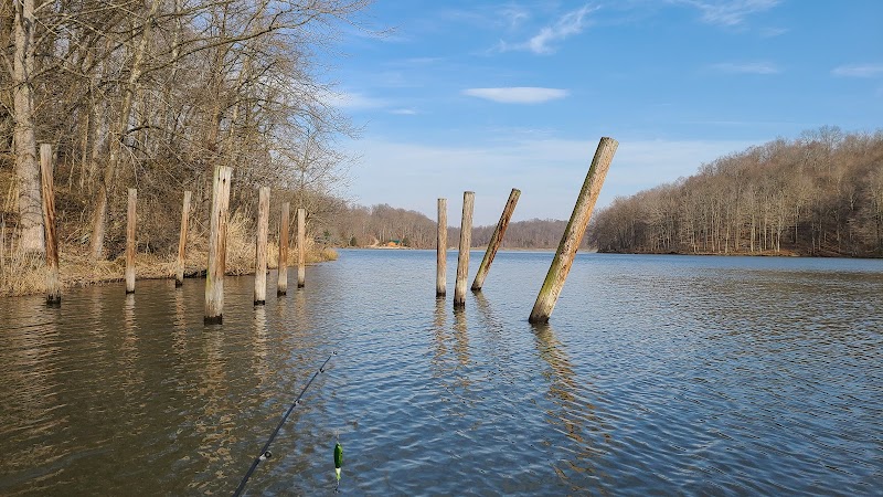 Crown City Wildlife Area - Scottown, OH