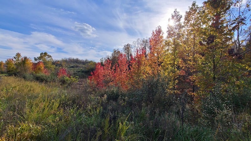 Crown City Wildlife Area - Scottown, OH