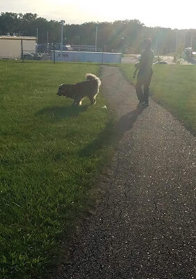 Meijer Park