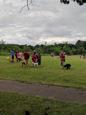 Horseshoe Lake Park