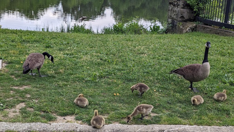 Horseshoe Lake Park - Shaker Heights, OH