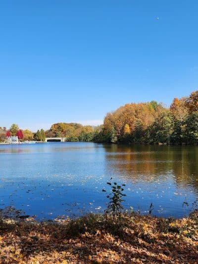 Sharon Woods - Sharonville, OH
