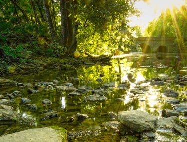 Sharon Woods - Sharonville, OH