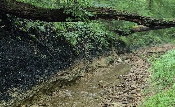 Village of Shawnee Village Park - Shawnee, OH
