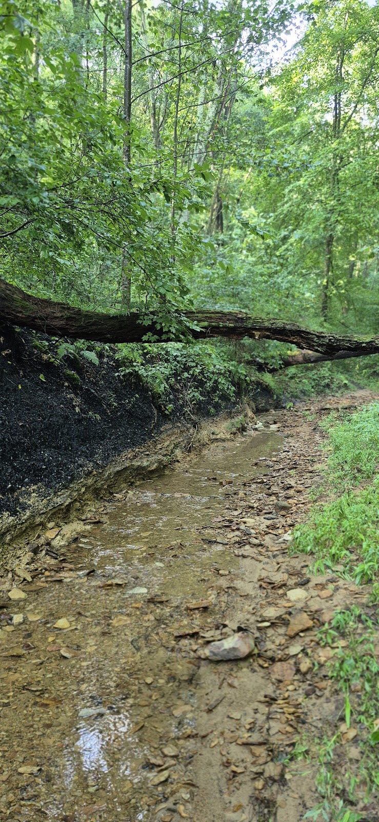 Village of Shawnee Village Park - Shawnee, OH