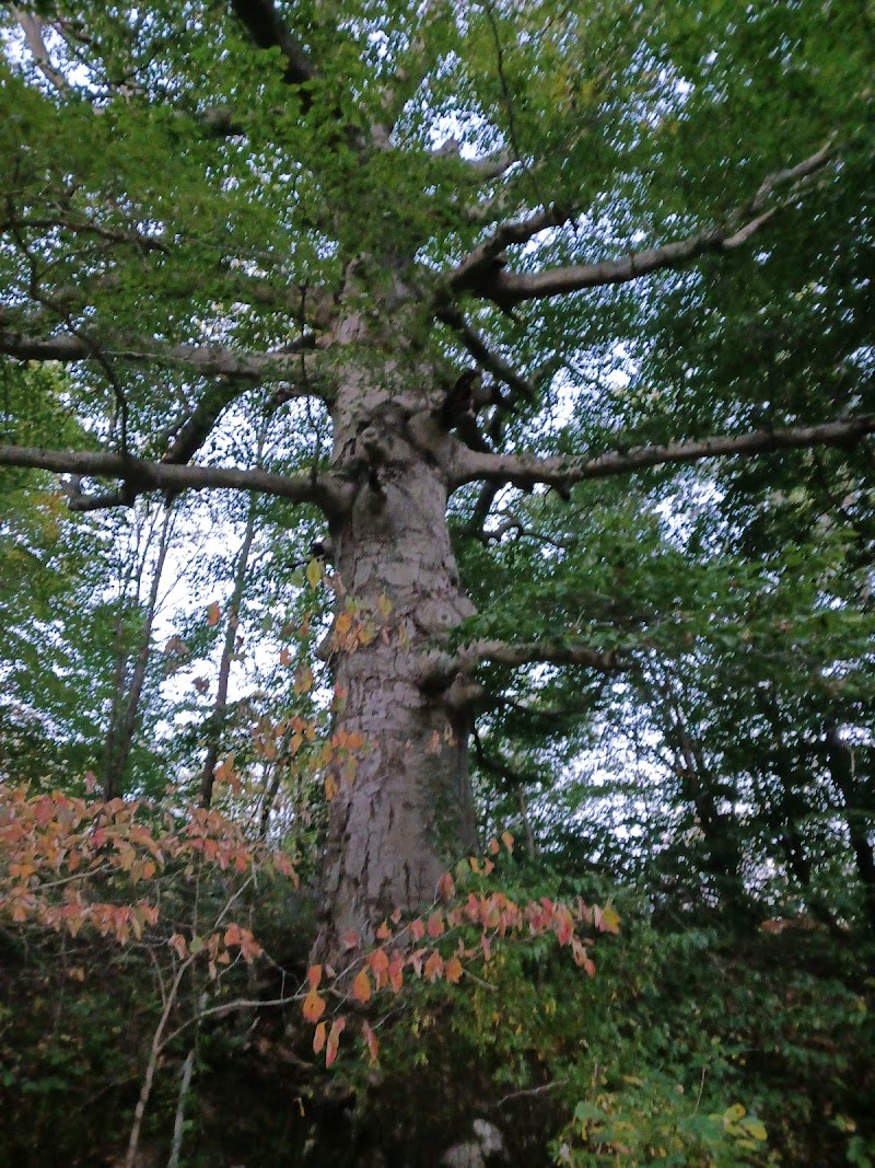 Village of Shawnee Village Park - Shawnee, OH
