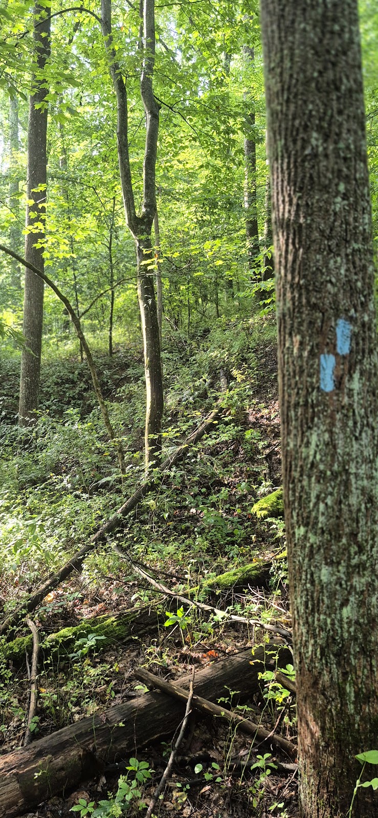 Village of Shawnee Village Park - Shawnee, OH