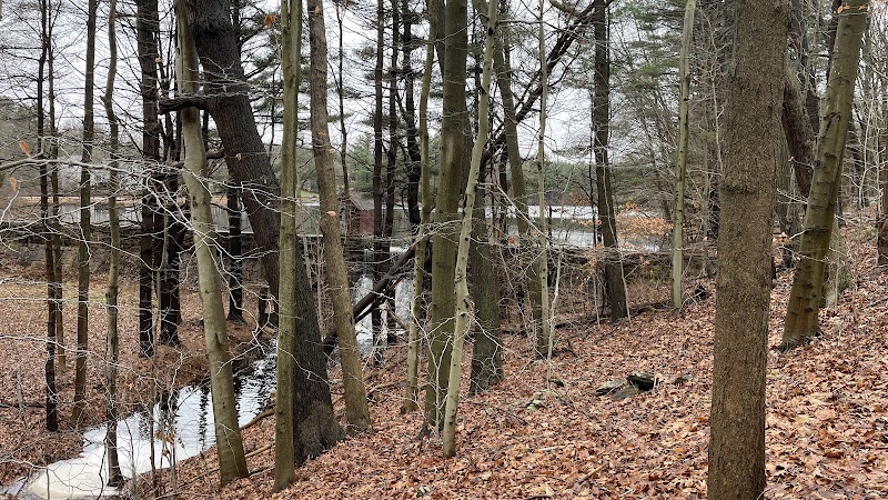 Shelton Dog Park - Shelton, CT