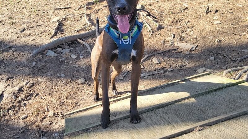 Shelton Dog Park - Shelton, CT