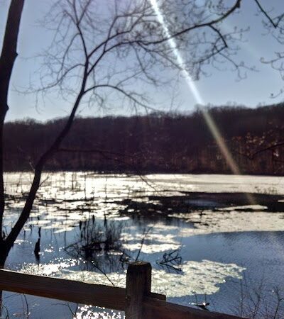 Shelton Dog Park - Shelton, CT