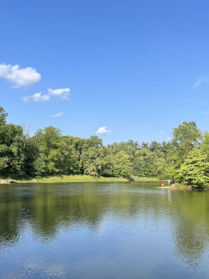 Shadow Lake