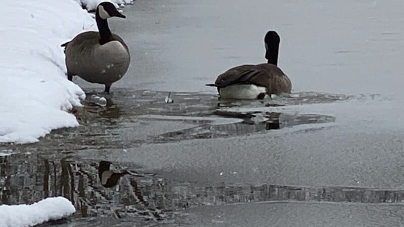 Shadow Lake - Solon, OH