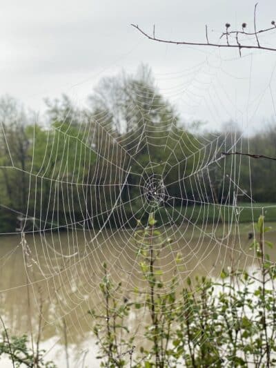 Shadow Lake - Solon, OH