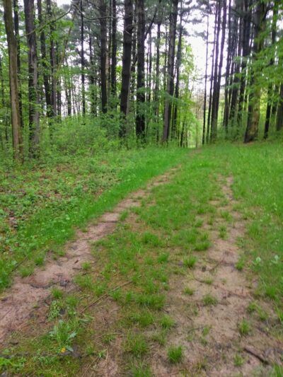 Shadow Lake Picnic Area - Solon, OH
