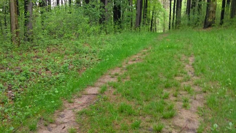 Shadow Lake Picnic Area - Solon, OH