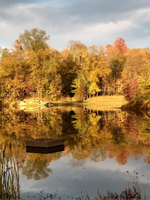 Shadow Lake Picnic Area
