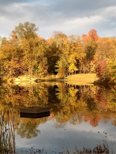 Shadow Lake Picnic Area