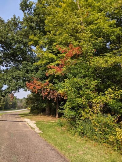 Shadow Lake Picnic Area - Solon, OH