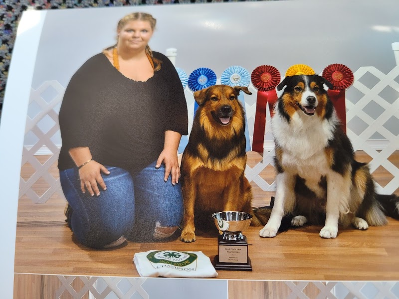 Canine Frenzy Versatility Training LLC - Somerton, OH