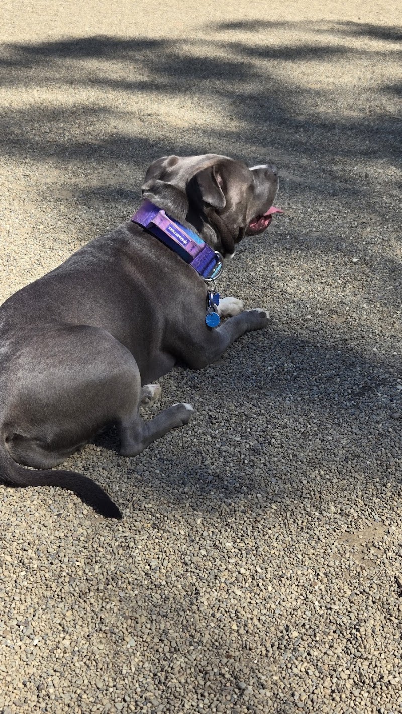South Euclid Dog Park - South Euclid, OH