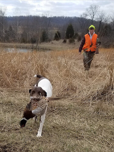 Holly Hills Preserve