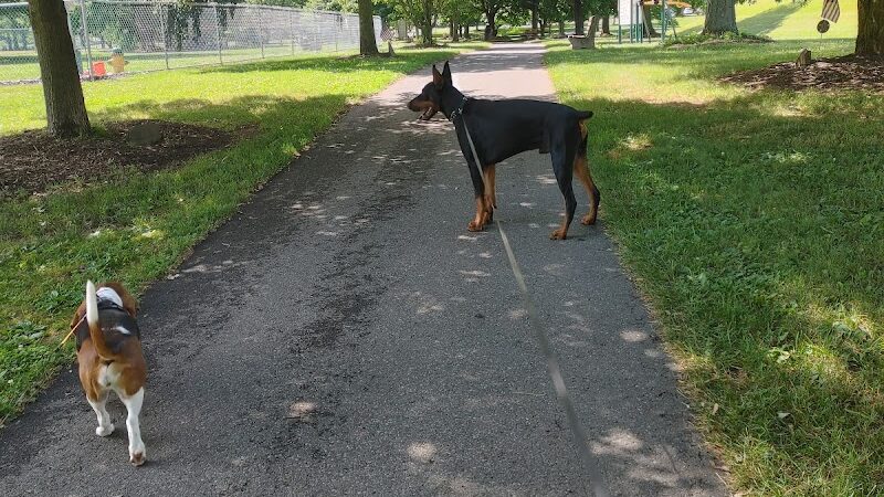 South Williamsport Dog Park - South Williamsport, PA