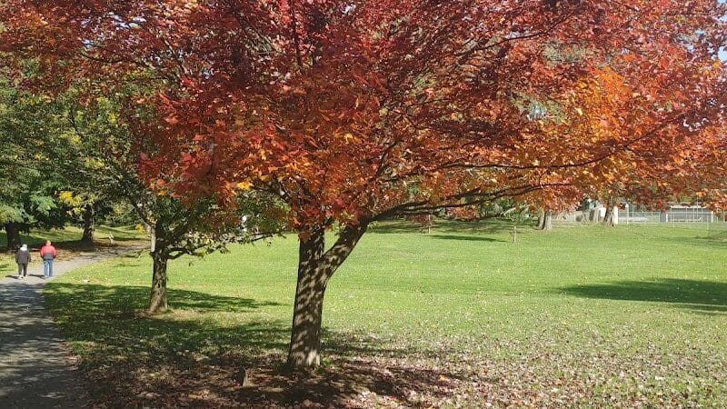 South Williamsport Dog Park - South Williamsport, PA