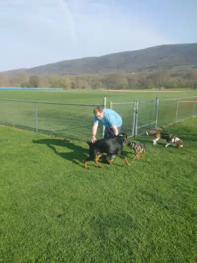 South Williamsport Dog Park - South Williamsport, PA