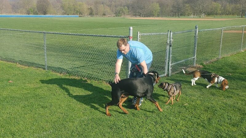 South Williamsport Dog Park - South Williamsport, PA