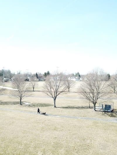 JB Firestone Memorial Park - Spencer, OH