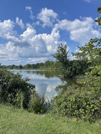 Spencer Lake Wildlife Area - Spencer, OH