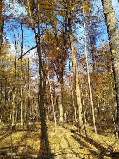 Spencer Lake Wildlife Area - Spencer, OH