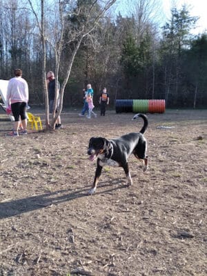 Spotsy Dog Park Inc.
