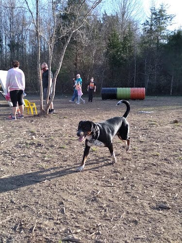 Spotsy Dog Park Inc.