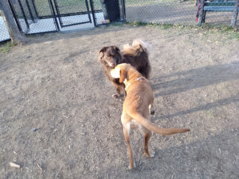 Spotsy Dog Park Inc. - Spotsylvania Courthouse, VA