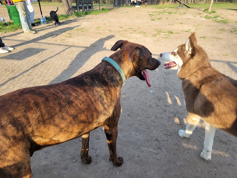 Spotsy Dog Park Inc. - Spotsylvania Courthouse, VA